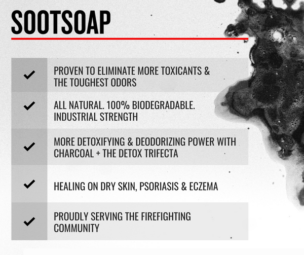 Detoxifying & Deodorizing Hand & Body Soap BULK 1 Gallon (3.79L)